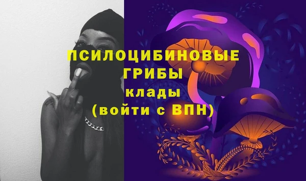 спиды Грязовец