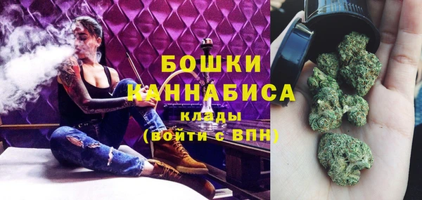 индика Россошь