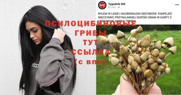 индика Россошь