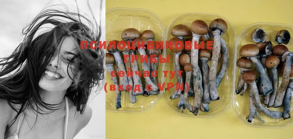 PSILOCYBIN Абинск