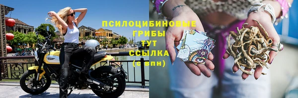 гидра Алексин