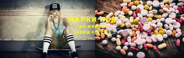 СК Алзамай