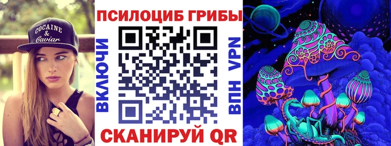 Псилоцибиновые грибы мицелий Аткарск