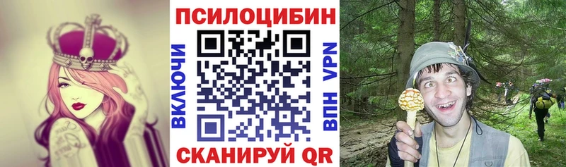 Псилоцибиновые грибы мицелий  Аткарск 